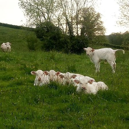 Gite A La Ferme Le Rousset Exterior foto
